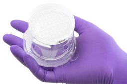 Milliflex Oasis® ろ過ユニット pore size 0.45 μm, mixed cellulose esters (MCE) membrane, white filter, volume 100 mL