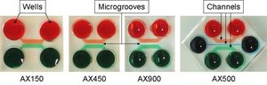 AXIS Axon Isolation Device, 150 µm, Plasma Bonded
