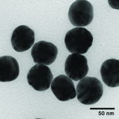 Silver nanospheres 50 nm avg. part. size, 0.02 mg/mL (in 2mM aqueous sodium citrate), citrate functionalized