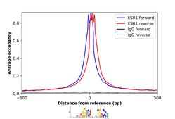 Anti-ESR1 antibody produced in rabbit Ab2, Prestige Antibodies® Powered by Atlas Antibodies, affinity isolated antibody, buffered aqueous glycerol solution
