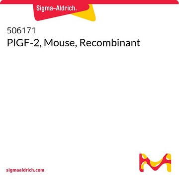 PlGF-2, Mouse, Recombinant