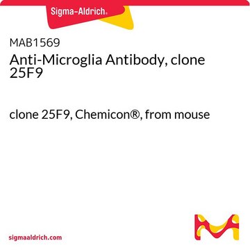 Anti-Microglia Antibody, clone 25F9 clone 25F9, Chemicon&#174;, from mouse