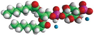 08:0 PI(4)P Avanti Research™ - A Croda Brand