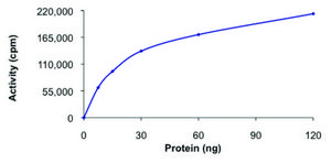 ULK3, active, His tagged human PRECISIO® Kinase, recombinant, expressed in baculovirus infected Sf9 cells, ≥70% (SDS-PAGE), buffered aqueous glycerol solution