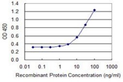 Monoclonal Anti-TIMM8B, (N-terminal) antibody produced in mouse clone 8E5, purified immunoglobulin, buffered aqueous solution