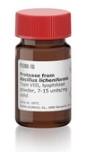 Protease from Bacillus licheniformis Type VIII, lyophilized powder, 7-15 units/mg solid