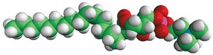 18:0 Lyso PC 1-stearoyl-2-hydroxy-sn-glycero-3-phosphocholine, chloroform