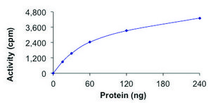 LIMK2, Active PRECISIO® Kinase, recombinant