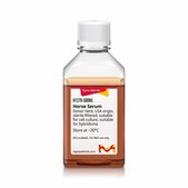 Horse Serum Donor herd, USA origin, sterile-filtered, suitable for cell culture, suitable for hybridoma