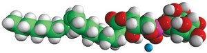 18:1 Lyso PI 1-oleoyl-2-hydroxy-sn-glycero-3-phospho-(1′-myo-inositol) (ammonium salt), powder