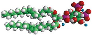 18:1 PI(4,5)P2 Avanti Research™ - A Croda Brand