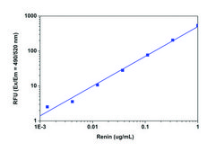 Renin Assay Kit sufficient for 100 fluorometric&nbsp;tests