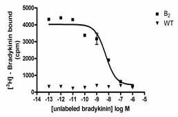 ChemiScreen Bradykinin B2 Membrane Preparation Human B2 GPCR membrane preparation for Radioligand binding Assays &amp; GTPgammaS binding.