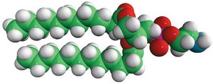 12:0 PE 1,2-dilauroyl-sn-glycero-3-phosphoethanolamine, powder