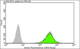 Anti-Histone H3 Antibody, (Unmodified Lys4), clone CMA301 clone CMA301, from mouse, purified by affinity chromatography
