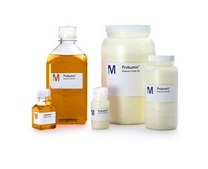 Probumin® Bovine Serum Albumin Life Science Grade, Powder