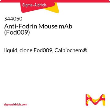 Anti-Fodrin Mouse mAb (Fod009) liquid, clone Fod009, Calbiochem&#174;