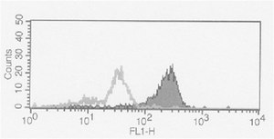 Anti-FcγRII (human) Antibody, clone AT10 clone AT10, from mouse