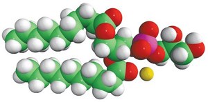 10:0 PG 1,2-didecanoyl-sn-glycero-3-phospho-(1′-rac-glycerol) (sodium salt), chloroform