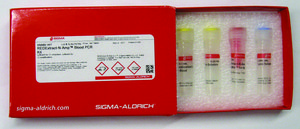 REDExtract-N-Amp™ Blood PCR Kit sufficient for 10 extractions, sufficient for 10 amplifications