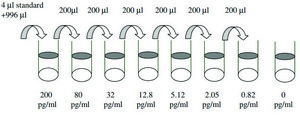 Human MCP-2 / CCL8 ELISA Kit for serum, plasma, cell culture supernatant and urine