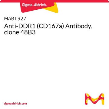 Anti-DDR1 (CD167a) Antibody, clone 48B3