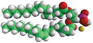 16:0-18:1 PA 1-palmitoyl-2-oleoyl-sn-glycero-3-phosphate (sodium salt), chloroform
