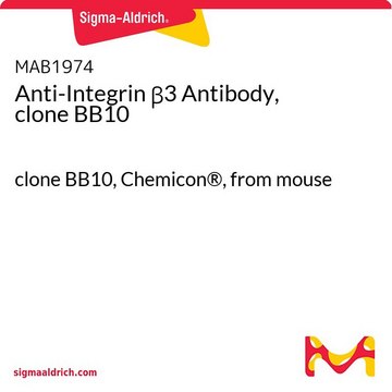 Anti-Integrin &#946;3 Antibody, clone BB10 clone BB10, Chemicon&#174;, from mouse