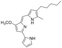Prodigiosin Serratia marcescens A cell-permeable tripyrrole alkaloid compound that displays immunosuppressive and anti-tumor properties irrespective of p53 status and multidrug resistance.