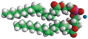 18:1 BMP (S,R) bis(monooleoylglycero)phosphate (S,R Isomer) (ammonium salt), chloroform