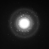 リン酸三カルシウム 水和物 nanopowder, <200 nm particle size (BET)