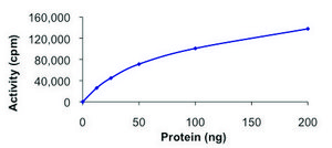 CK1γ1, active, GST tagged human PRECISIO®, recombinant, expressed in baculovirus infected Sf9 cells, ≥70% (SDS-PAGE), buffered aqueous glycerol solution