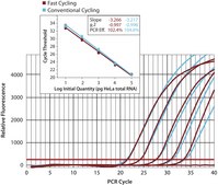 KiCqStart® SYBR® Green qPCR ReadyMix™ Low ROX™, for ABI and Stratagene instruments