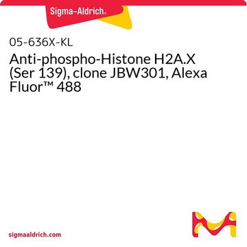 Anti-phospho-Histone H2A.X (Ser 139), clone JBW301, Alexa Fluor&#8482; 488
