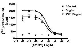 ChemiSCREEN Membrane Preparation Recombinant Human CCK1 Cholecystokinin Receptor Human CCK1 / CCKa GPCR membrane preparation for Radioligand binding Assays &amp; GTPγS binding.