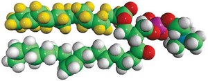 16:0-d31-18:1 PC 1-palmitoyl-d31-2-oleoyl-sn-glycero-3-phosphocholine, chloroform