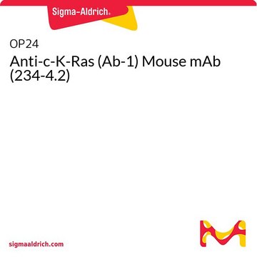 Anti-c-K-Ras (Ab-1) Mouse mAb (234-4.2)