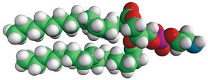 16:0 PE Avanti Research™ - A Croda Brand