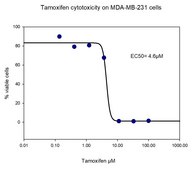 3dGRO® Human CRC Organoids (ISO48)