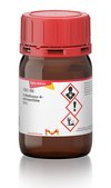 2-Methoxy-4-nitroaniline 98%