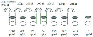 Human MIP-1 β / CCL4 ELISA Kit for serum, plasma, cell culture supernatant and urine
