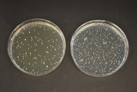 TOS-Propionate Agar (Base) GranuCult&#174; prime, according to ISO 29981, IDF 220, granular, for Bifidobacterium spp., pack of 500&#160;g