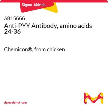 Anti-PYY Antibody, amino acids 24-36 Chemicon&#174;, from chicken