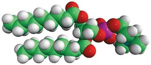 09:0 PC 1,2-dinonanoyl-sn-glycero-3-phosphocholine, chloroform