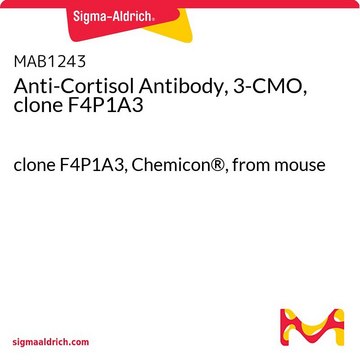 Anti-Cortisol Antibody, 3-CMO, clone F4P1A3 clone F4P1A3, Chemicon&#174;, from mouse