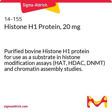 Proteína histona H1, 20 mg Purified bovine Histone H1 protein for use as a substrate in histone modification assays (HAT, HDAC, DNMT) and chromatin assembly studies.