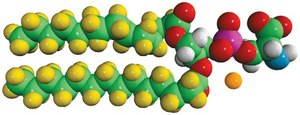 14:0 PS-d54 Avanti Research™ - A Croda Brand 860400P, powder
