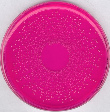 Mannitol Salt Phenol-Red Agar GranuCult&#174; prime, according to JP, EP, USP, granular, for Staphylococcus spp., pkg of 500&#160;g