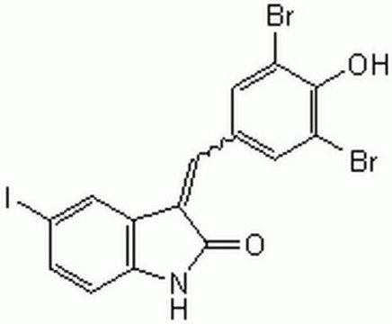 Raf1 Kinase Inhibitor I InSolution, &#8805;97%
