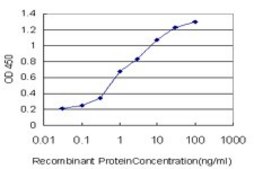 Monoclonal Anti-MLLT1 antibody produced in mouse clone 3H2, purified immunoglobulin, buffered aqueous solution